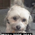 Mikka Buckler 2006-2015